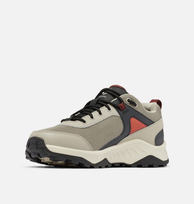 Columbia Trailstorm Ascend Waterproof Men's Hiking Shoes Beige | IEWYAS-012