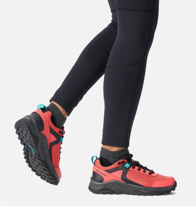 Columbia Trailstorm Ascend Waterproof Women's Sneakers Coral | UEDLJO-104