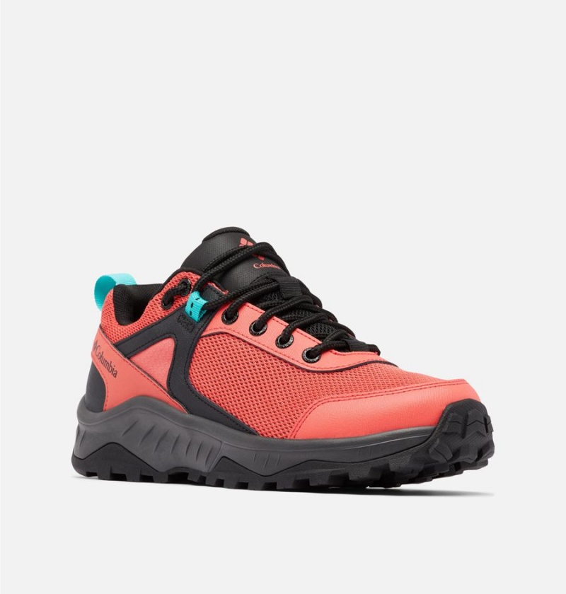 Columbia Trailstorm Ascend Waterproof Women's Sneakers Coral | UEDLJO-104