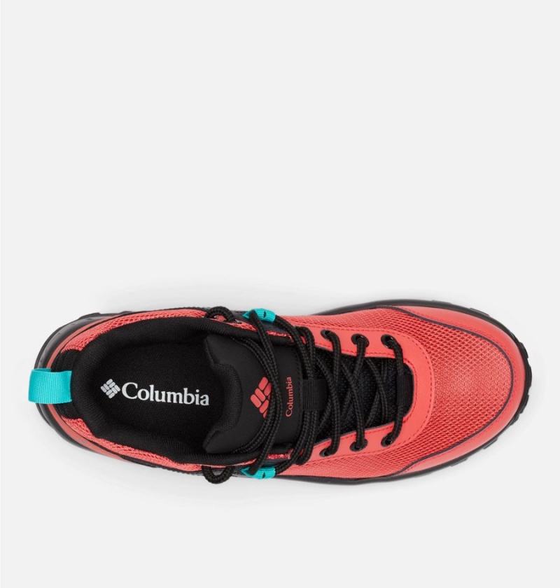 Columbia Trailstorm Ascend Waterproof Women's Sneakers Coral | UEDLJO-104