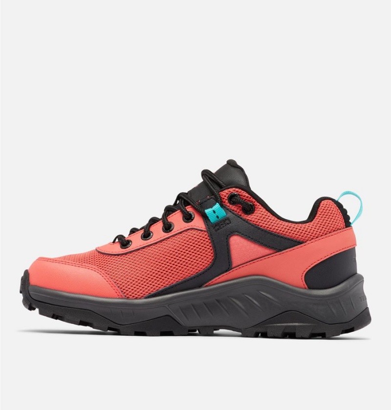 Columbia Trailstorm Ascend Waterproof Women's Sneakers Coral | UEDLJO-104