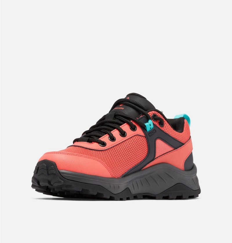 Columbia Trailstorm Ascend Waterproof Women's Sneakers Coral | UEDLJO-104
