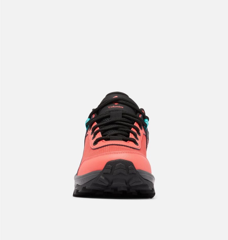 Columbia Trailstorm Ascend Waterproof Women's Sneakers Coral | UEDLJO-104