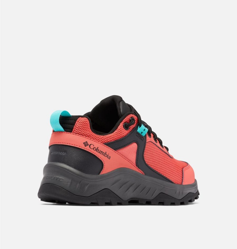 Columbia Trailstorm Ascend Waterproof Women's Sneakers Coral | UEDLJO-104