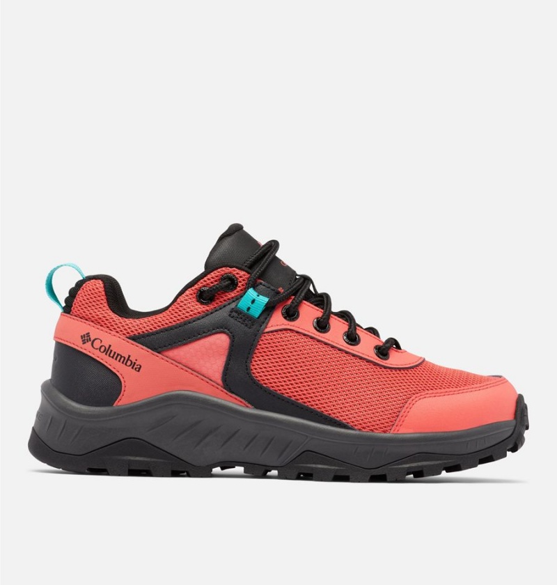Columbia Trailstorm Ascend Waterproof Women\'s Sneakers Coral | UEDLJO-104