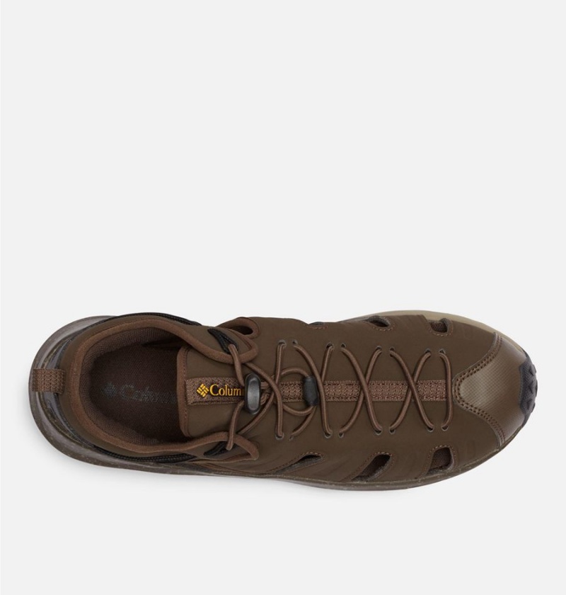 Columbia Trailstorm H20 Shoe Men's Sandals Brown | ZKQNSJ-582
