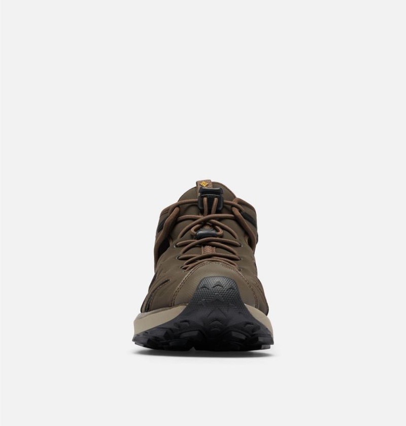 Columbia Trailstorm H20 Shoe Men's Sandals Brown | ZKQNSJ-582