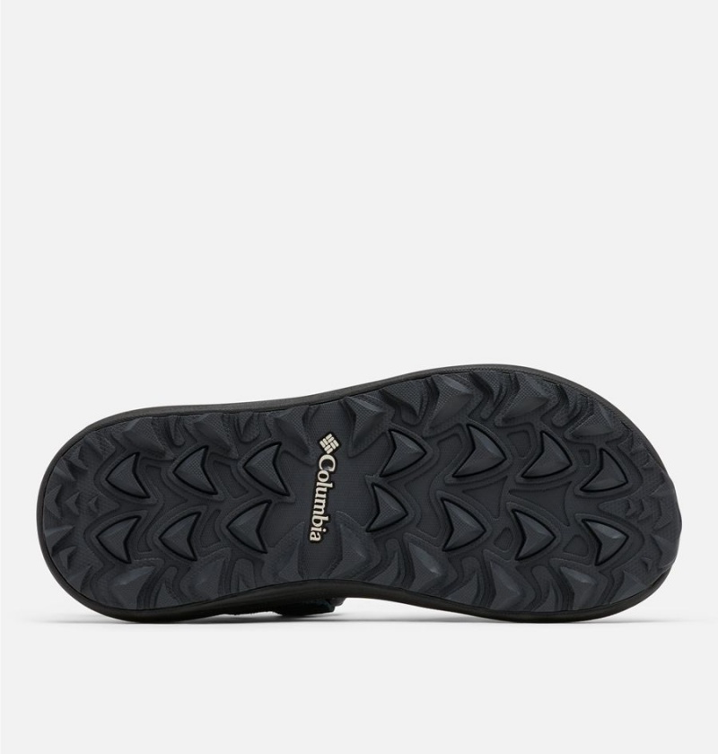 Columbia Trailstorm Hiker 2-Strap Women's Sandals Black | CDAYUW-192