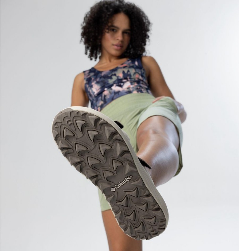 Columbia Trailstorm Hiker 2-Strap Women's Sandals Grey | SLRWTK-147