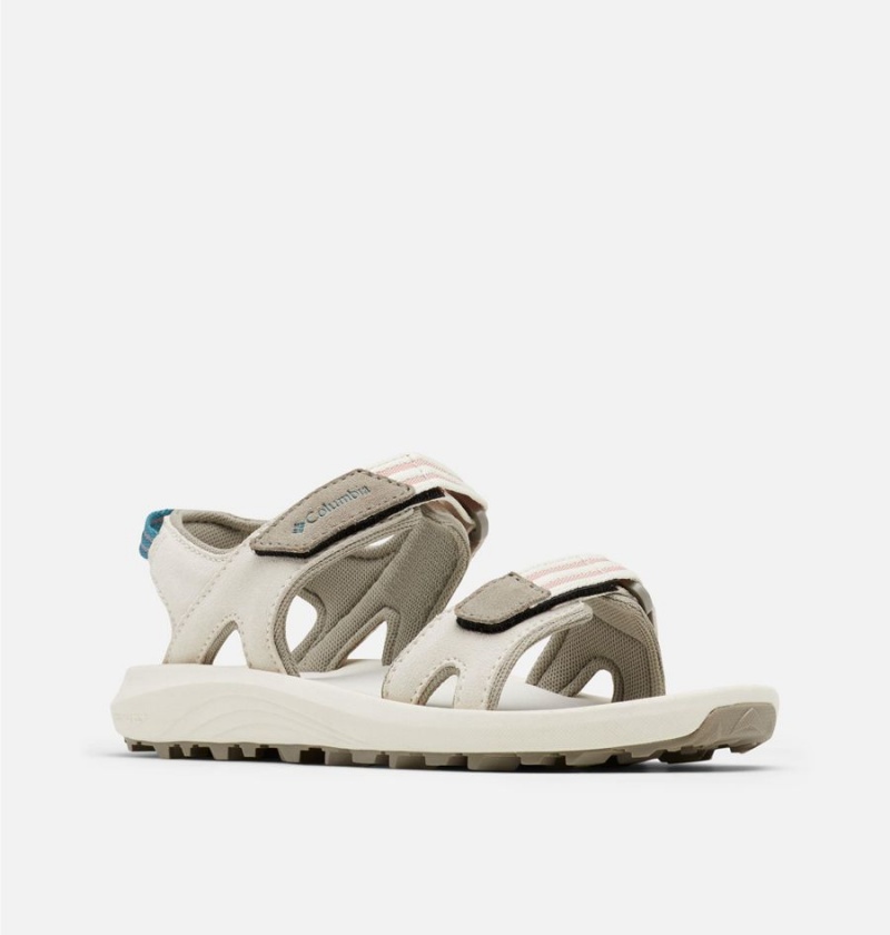 Columbia Trailstorm Hiker 2-Strap Women's Sandals Grey | SLRWTK-147