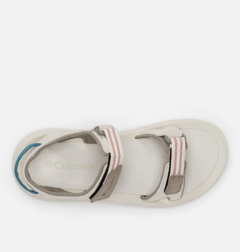 Columbia Trailstorm Hiker 2-Strap Women's Sandals Grey | SLRWTK-147