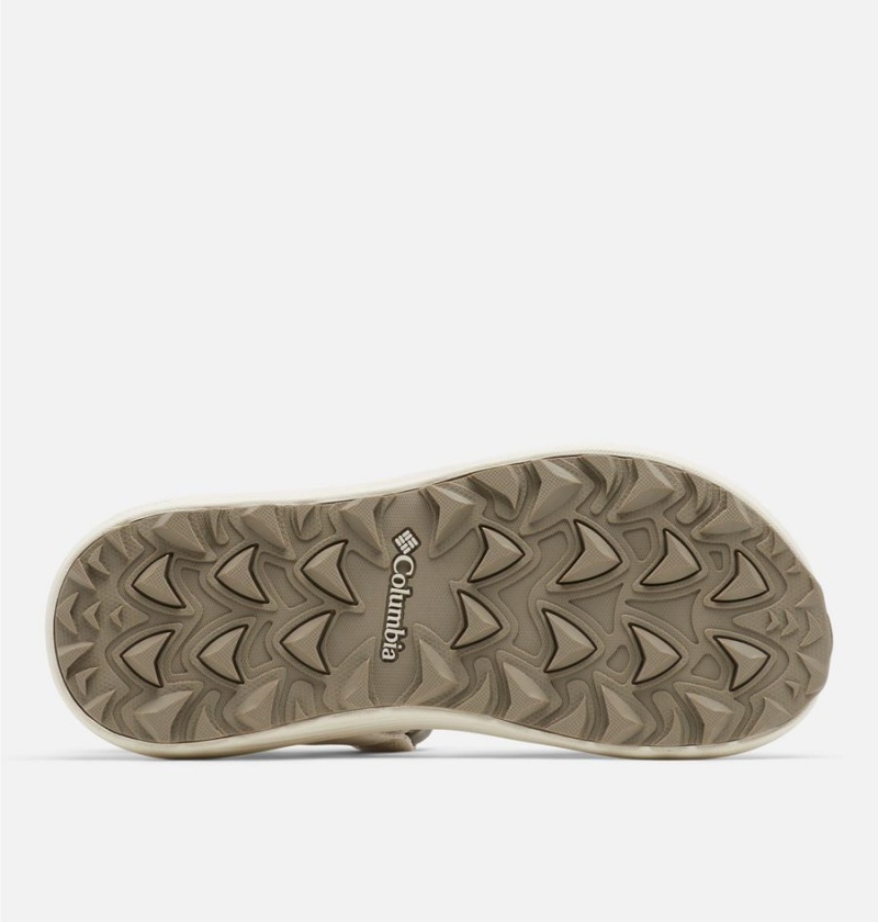 Columbia Trailstorm Hiker 2-Strap Women's Sandals Grey | SLRWTK-147