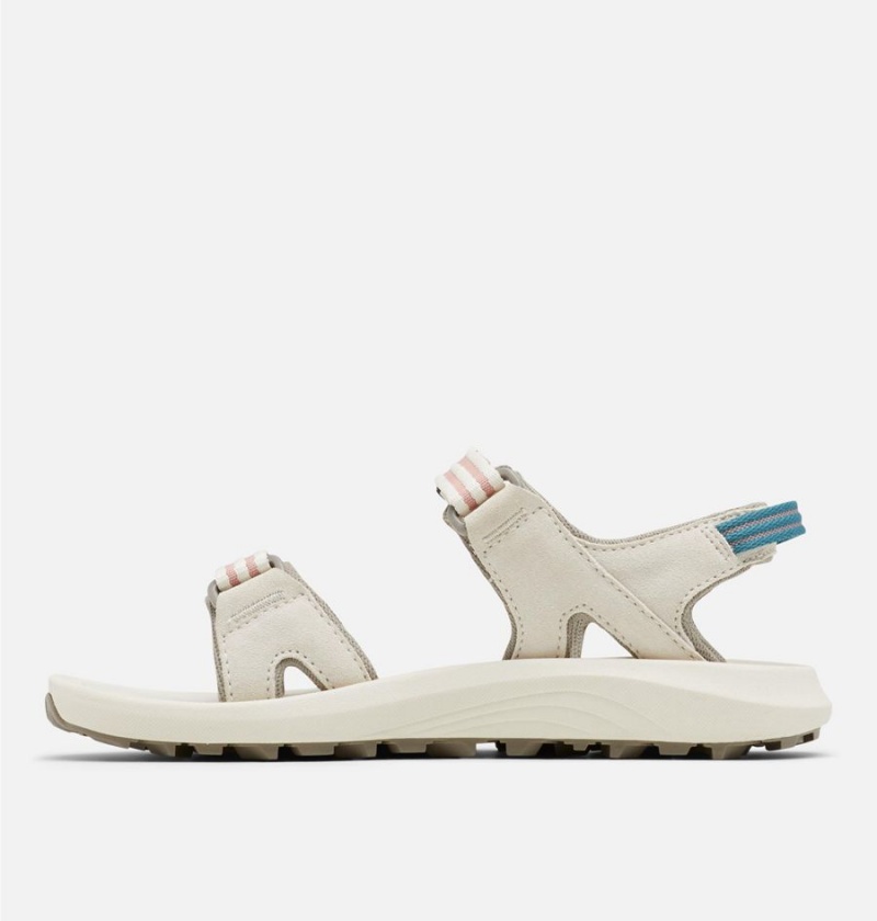 Columbia Trailstorm Hiker 2-Strap Women's Sandals Grey | SLRWTK-147