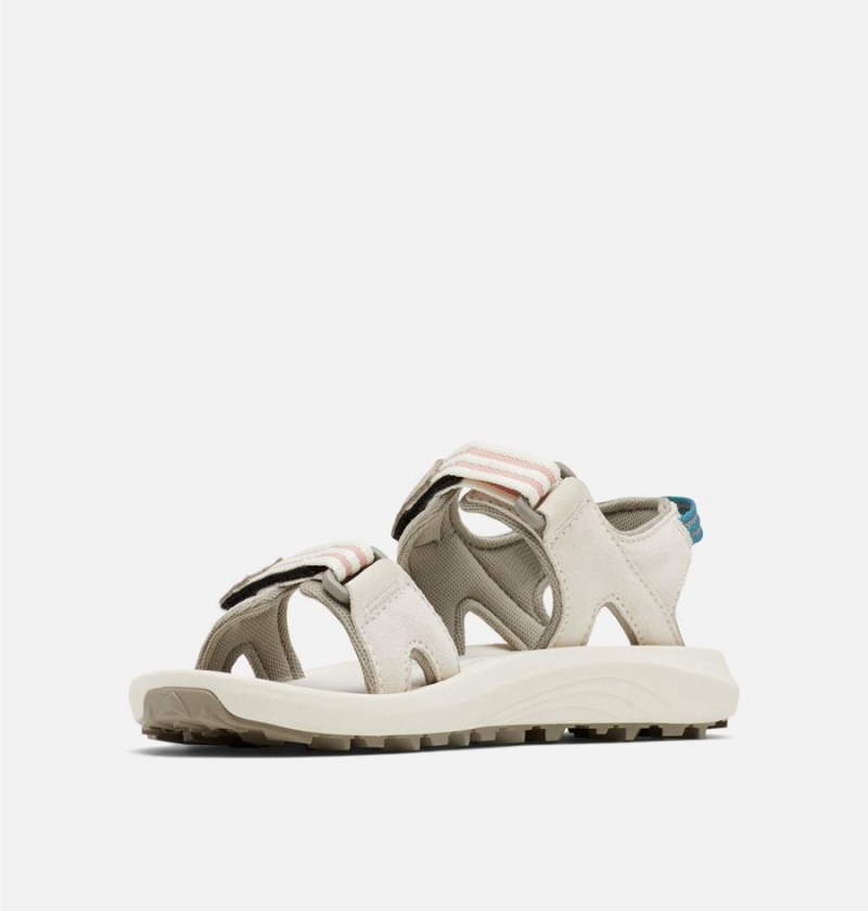 Columbia Trailstorm Hiker 2-Strap Women's Sandals Grey | SLRWTK-147