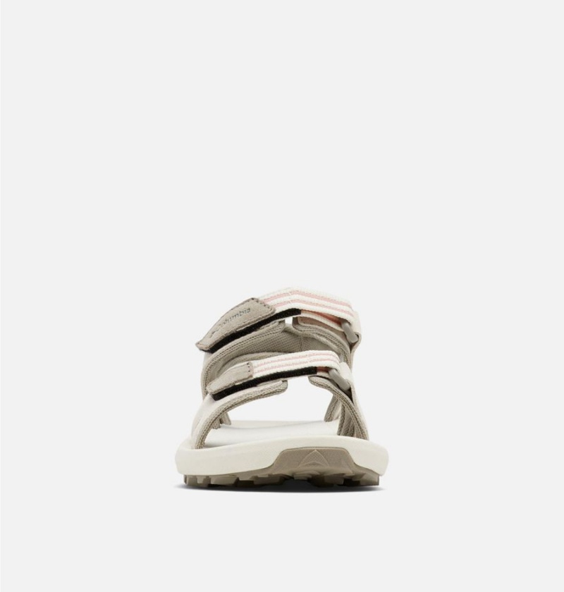 Columbia Trailstorm Hiker 2-Strap Women's Sandals Grey | SLRWTK-147