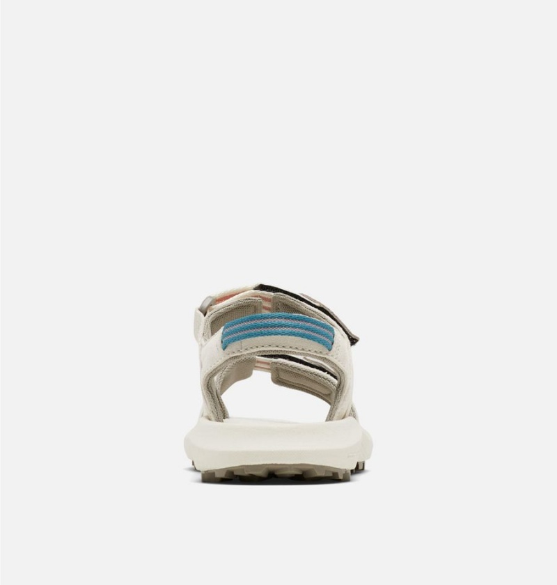 Columbia Trailstorm Hiker 2-Strap Women's Sandals Grey | SLRWTK-147