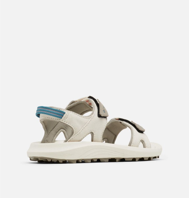 Columbia Trailstorm Hiker 2-Strap Women's Sandals Grey | SLRWTK-147