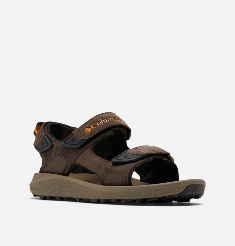 Columbia Trailstorm Hiker 3-Strap Men's Sandals Brown | XAHWNB-701