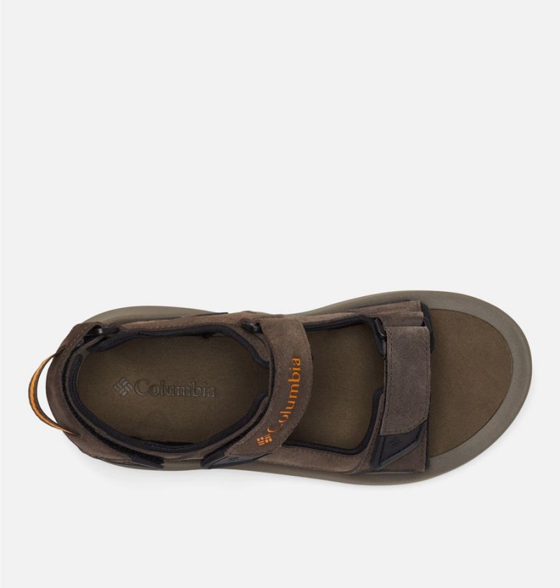 Columbia Trailstorm Hiker 3-Strap Men's Sandals Brown | XAHWNB-701