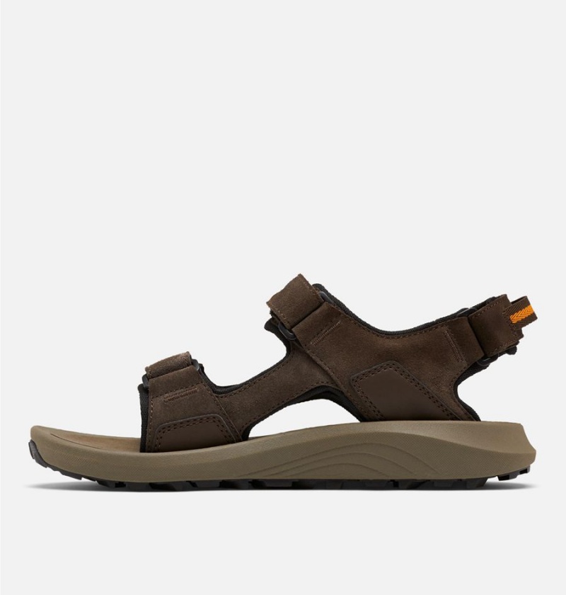 Columbia Trailstorm Hiker 3-Strap Men's Sandals Brown | XAHWNB-701