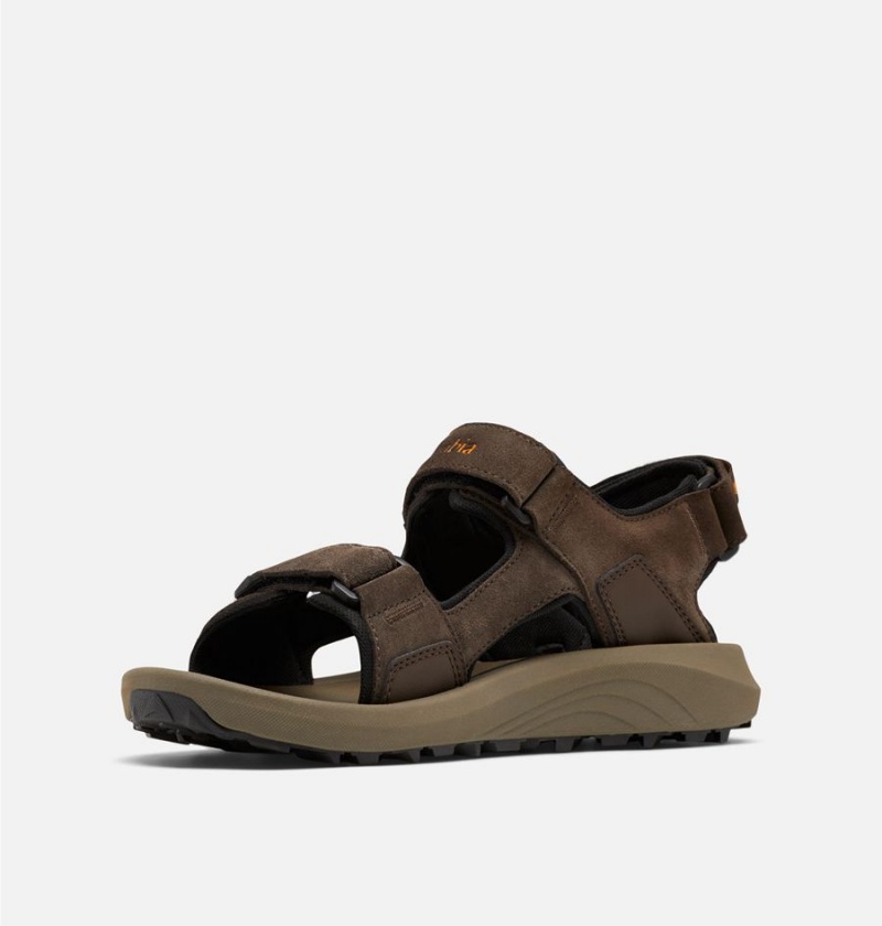 Columbia Trailstorm Hiker 3-Strap Men's Sandals Brown | XAHWNB-701