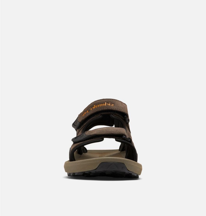 Columbia Trailstorm Hiker 3-Strap Men's Sandals Brown | XAHWNB-701