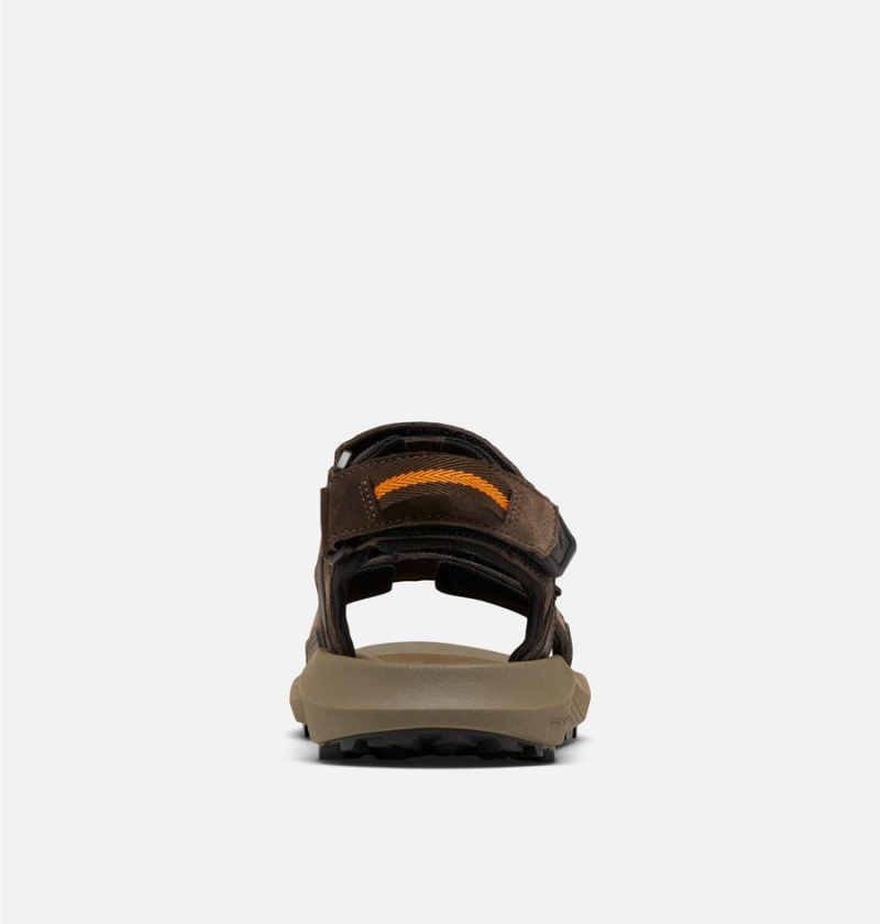Columbia Trailstorm Hiker 3-Strap Men's Sandals Brown | XAHWNB-701