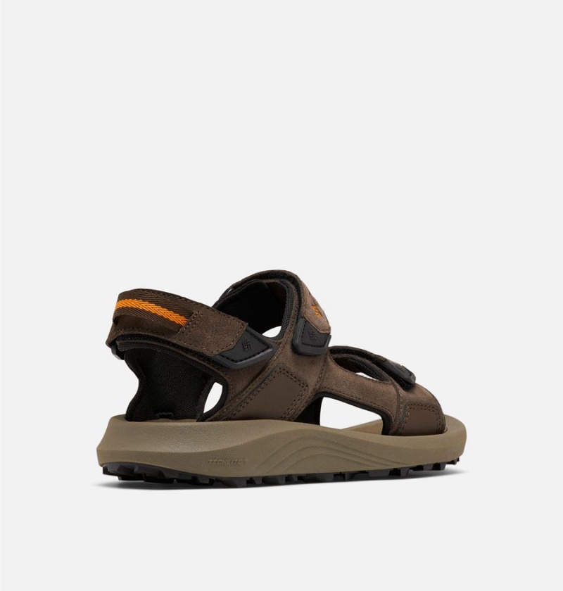 Columbia Trailstorm Hiker 3-Strap Men's Sandals Brown | XAHWNB-701