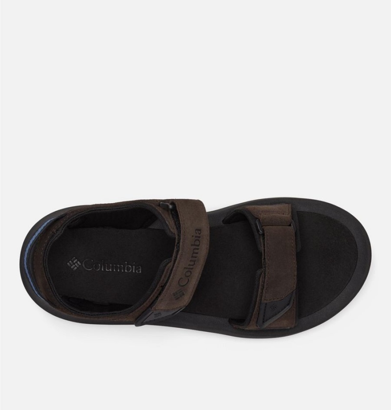Columbia Trailstorm Hiker Two Strap Men's Sandals Black | LPRFHZ-639