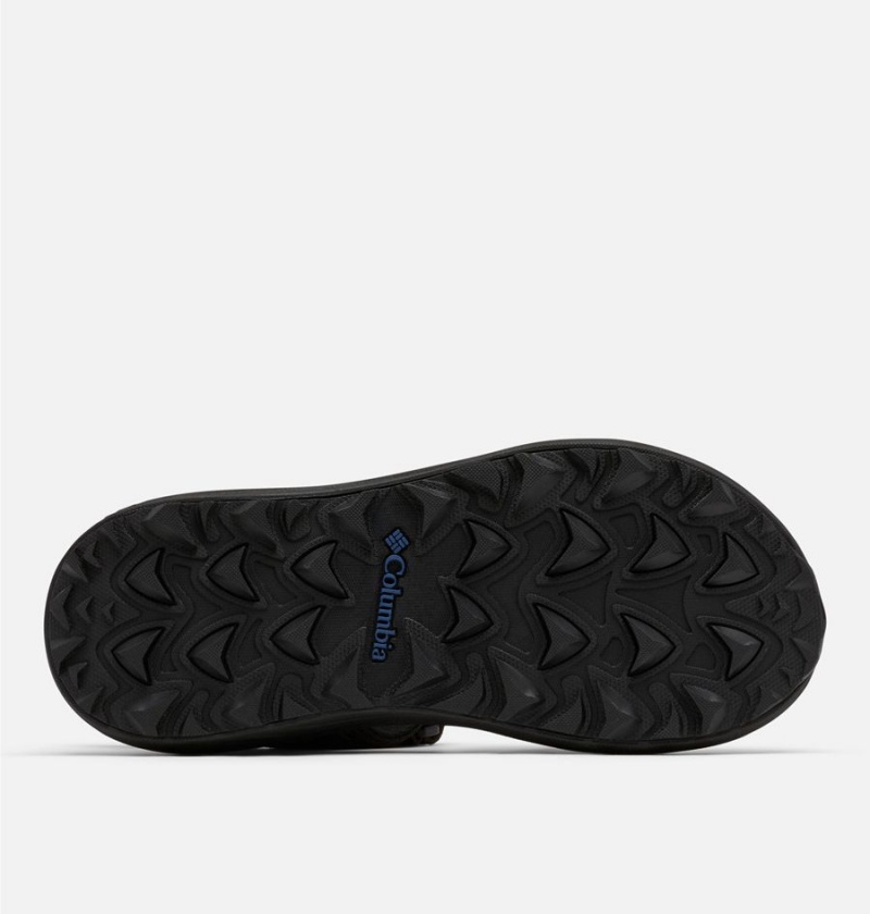 Columbia Trailstorm Hiker Two Strap Men's Sandals Black | LPRFHZ-639
