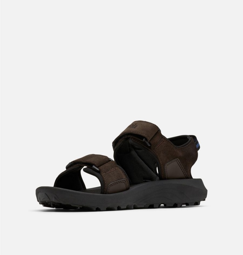 Columbia Trailstorm Hiker Two Strap Men's Sandals Black | LPRFHZ-639