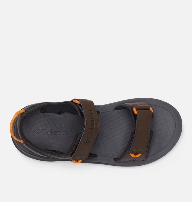 Columbia Trailstorm Men's Sandals Brown | CLXOUR-423