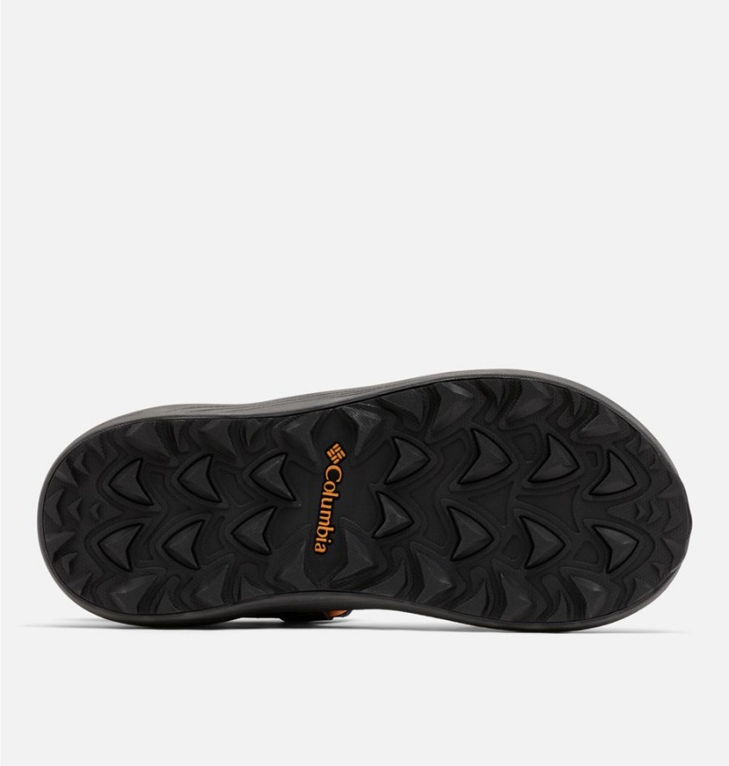 Columbia Trailstorm Men's Sandals Brown | CLXOUR-423