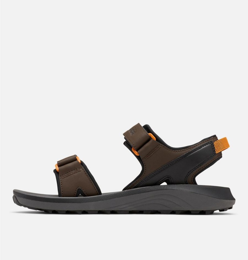Columbia Trailstorm Men's Sandals Brown | CLXOUR-423