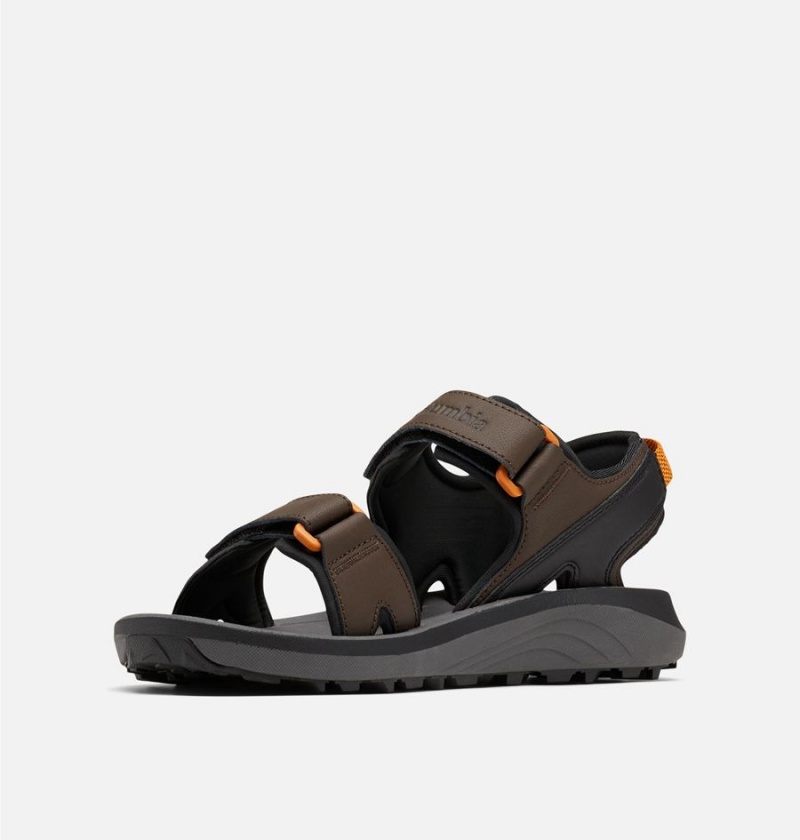 Columbia Trailstorm Men's Sandals Brown | CLXOUR-423