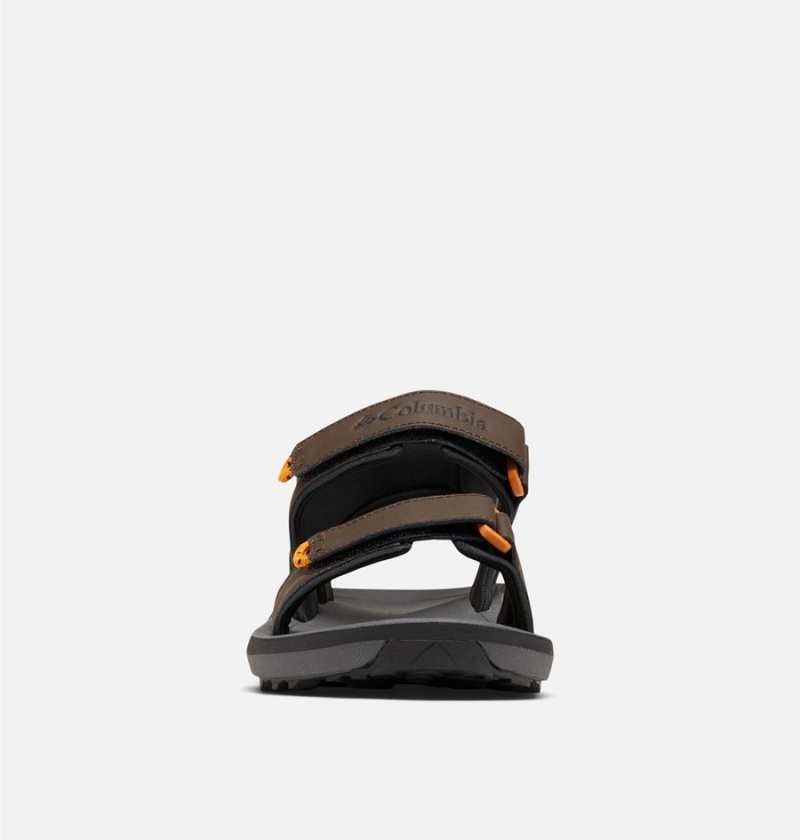 Columbia Trailstorm Men's Sandals Brown | CLXOUR-423