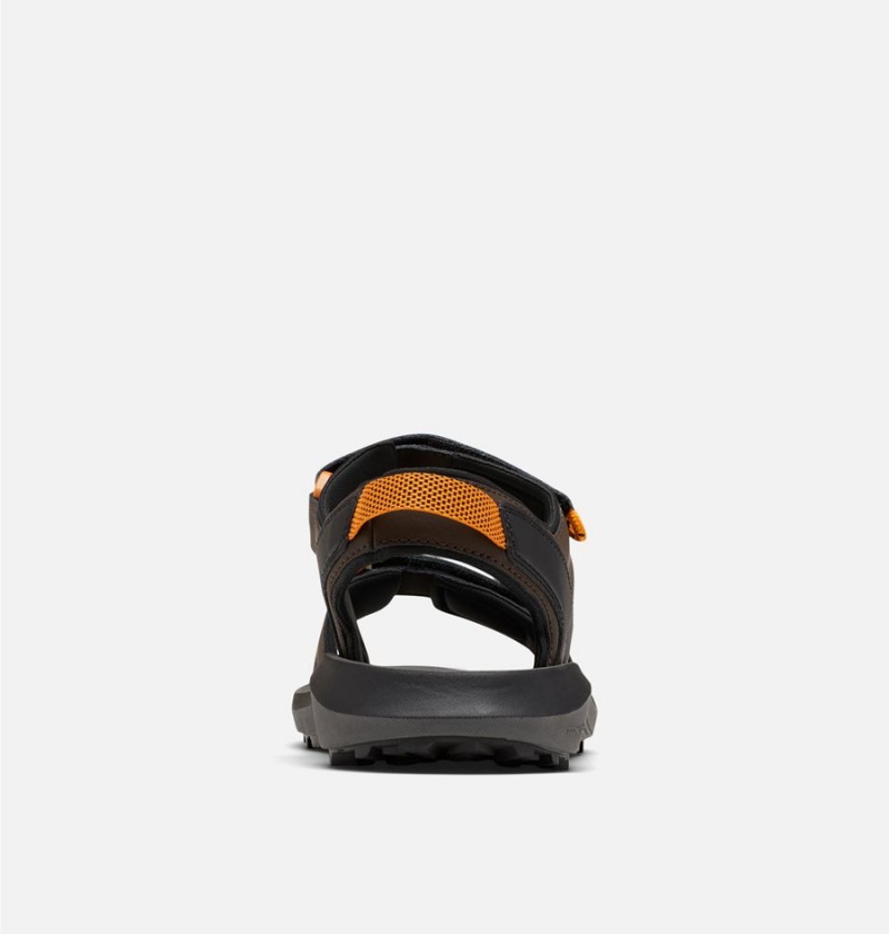 Columbia Trailstorm Men's Sandals Brown | CLXOUR-423