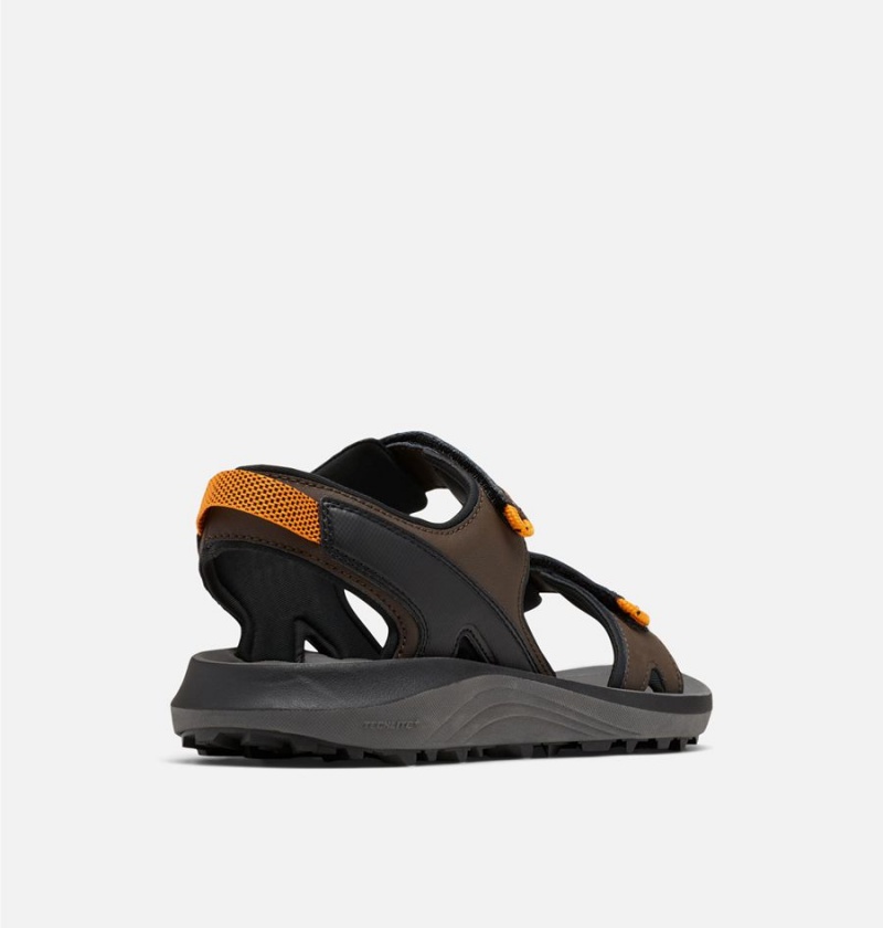 Columbia Trailstorm Men's Sandals Brown | CLXOUR-423