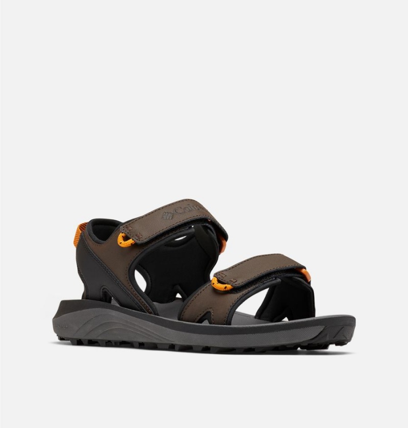 Columbia Trailstorm Men\'s Sandals Brown | CLXOUR-423