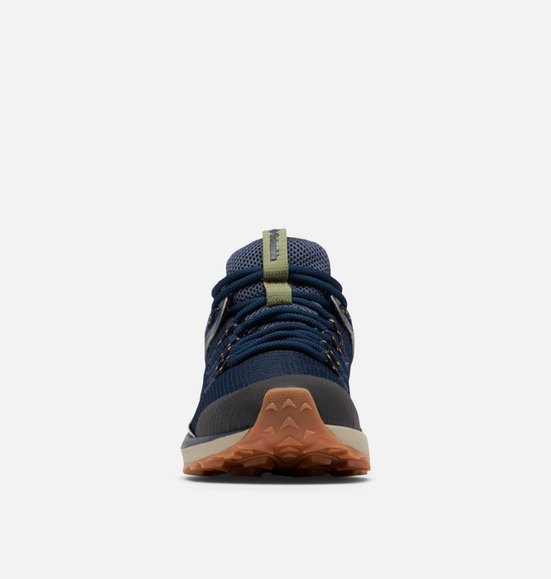 Columbia Trailstorm Waterproof Men's Hiking Shoes Navy | FSILVT-983