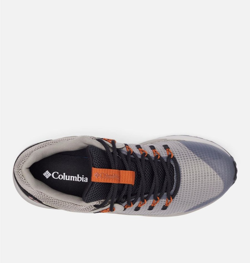 Columbia Trailstorm Waterproof Men's Hiking Shoes Beige | ZGLONH-523