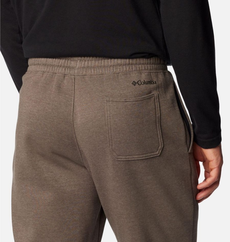 Columbia Trek Joggers Men's Pants Grey | FENTJS-105