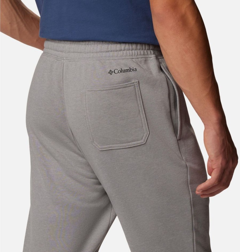 Columbia Trek Joggers Men's Pants Grey | ZUDIFB-854