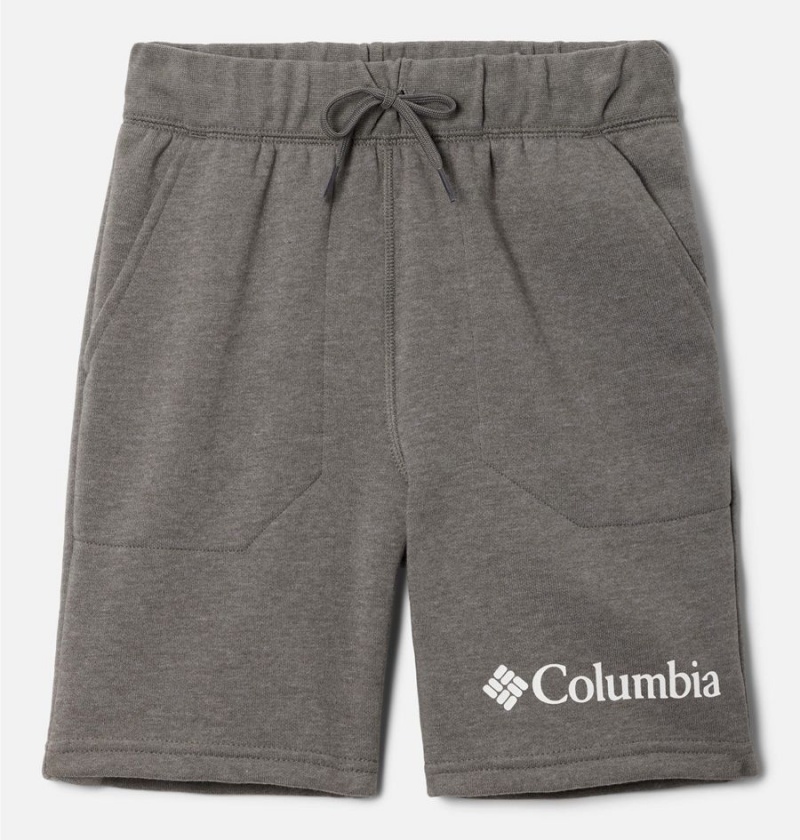 Columbia Trek Kids\' Shorts Grey | RPLFGT-038