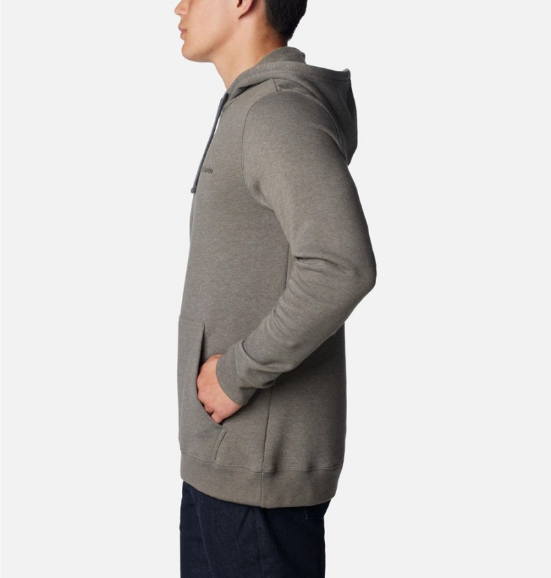 Columbia Trek Men's Hoodie Grey | CFKIJQ-143