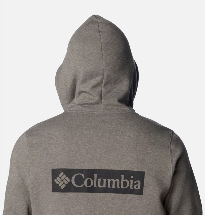 Columbia Trek Men's Hoodie Grey | CFKIJQ-143