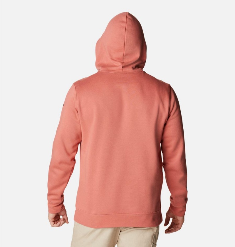 Columbia Trek Men's Hoodie Pink | ALKSCQ-571