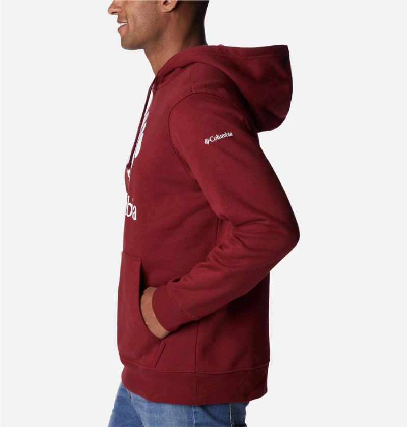 Columbia Trek Men's Hoodie Red | PXMGKN-920