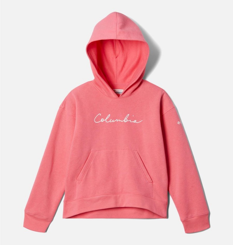 Columbia Trek Novelty Kids\' Hoodie Pink | AEYQMI-185
