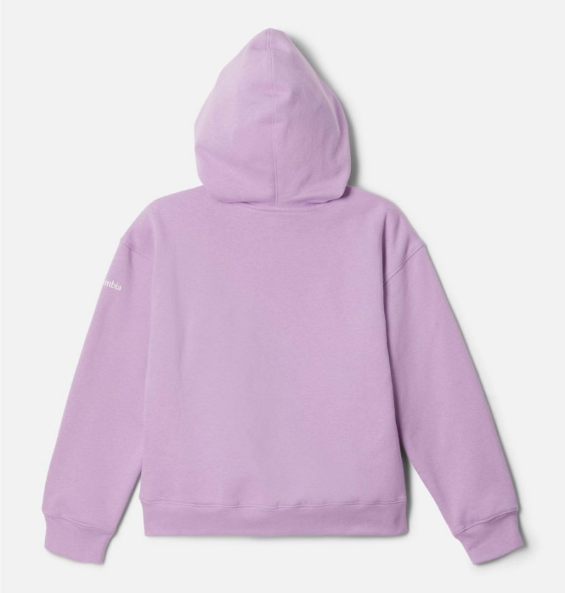 Columbia Trek Novelty Kids' Hoodie Purple | MAPNUG-914